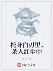 托身白刃里,杀人红尘中