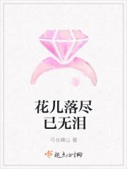 花儿落尽已无泪