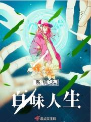 系统之百味人生
