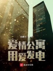 爱情公寓用爱发电
