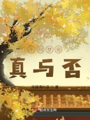不问梦境真与否