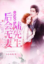 一纸薄婚:陆先生,后会无妻