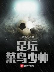 足坛菜鸟