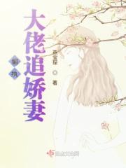 偏执大佬追娇妻