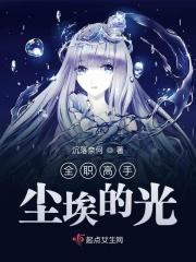 全职高手尘埃的光