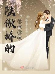 陆傲娇的宠妻指南