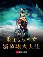 重生之乞丐女婿的冰火人生