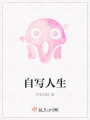 自写人生
