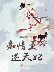 痴情王爷逆天妃