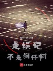 是娱记不是狗仔啊