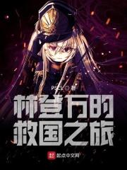 林登万的救国之旅