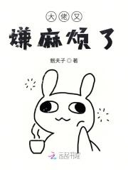 大佬又嫌麻烦了