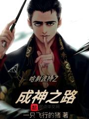 哈利波特之成神之路