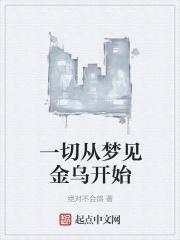 一切从梦见金乌开始
