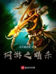 网游之暗杀风云