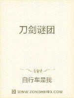 刀剑谜团