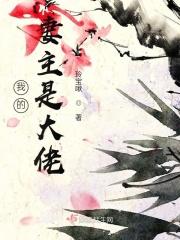 我的妻主是大佬