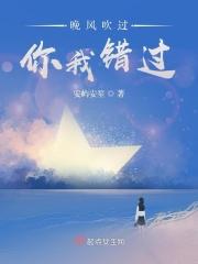 晚风吹过,你我错过