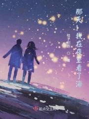 那天！我在夜里看了海