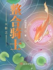 火影之整合骑士