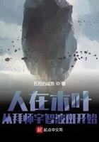 人在木叶,从拜师宇智波斑开始