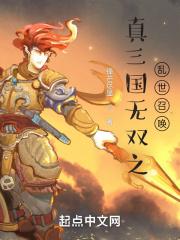 真三国无双之乱入天下志