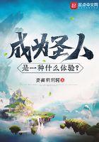 成为圣人是一种什么体验?